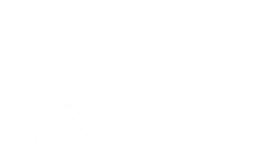 Magnet Media House logo, video production and photography agency in Bangalore